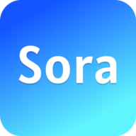 Sora AI Video